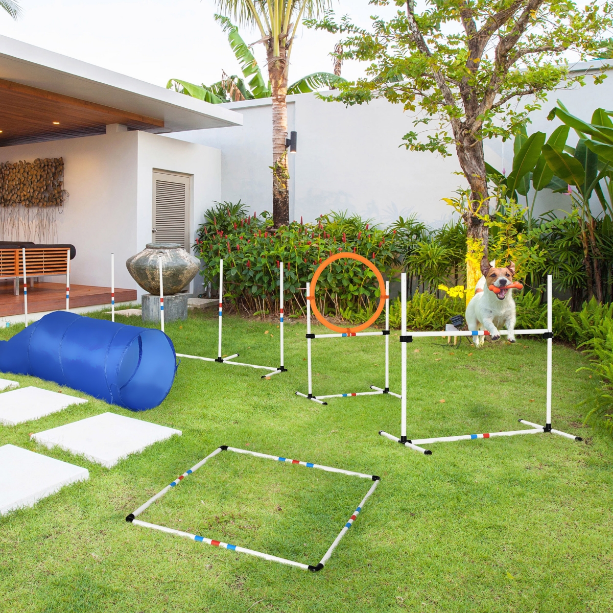Streamdale Furniture PawHut 5-in-1 Dog Agility Training Set with Sports Bag