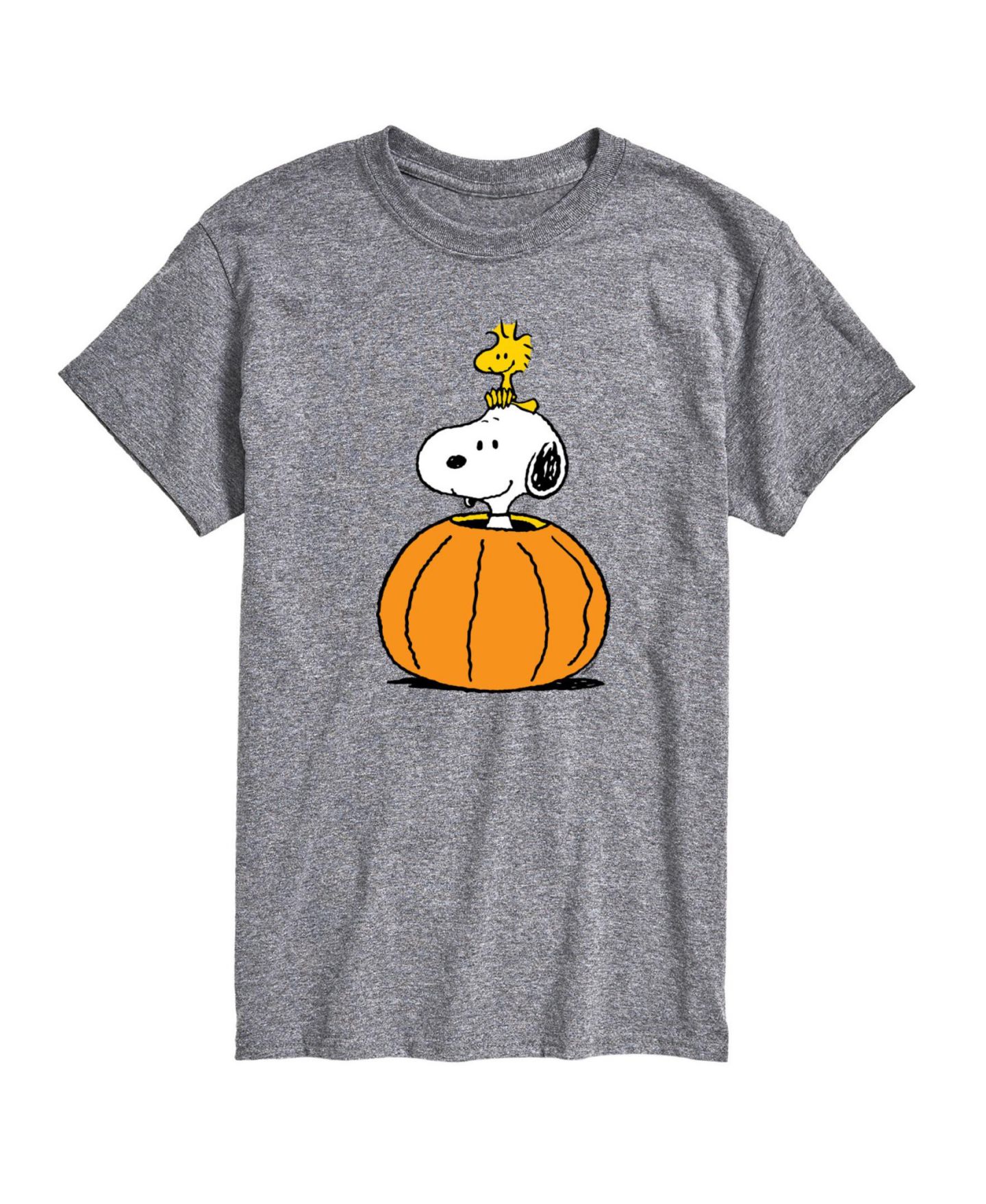 Мужская футболка AIRWAVES Hybrid Apparel Peanuts Pumpkin Short Sleeve, цвет: Серый — фото 1