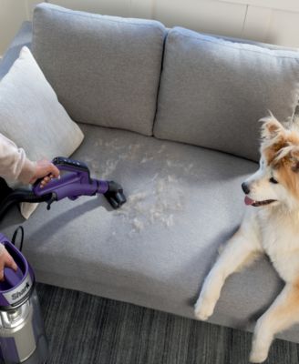 POWERDETECT Upright Vacuum with DuoClean Detect Technology and Self-Cleaning Brushroll, AZ4002