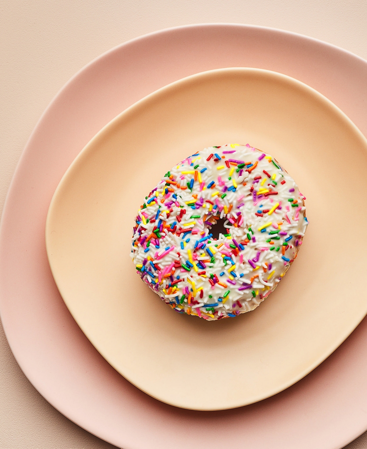 Stone Lain Delilah Porcelain Dinner Plates, Set of