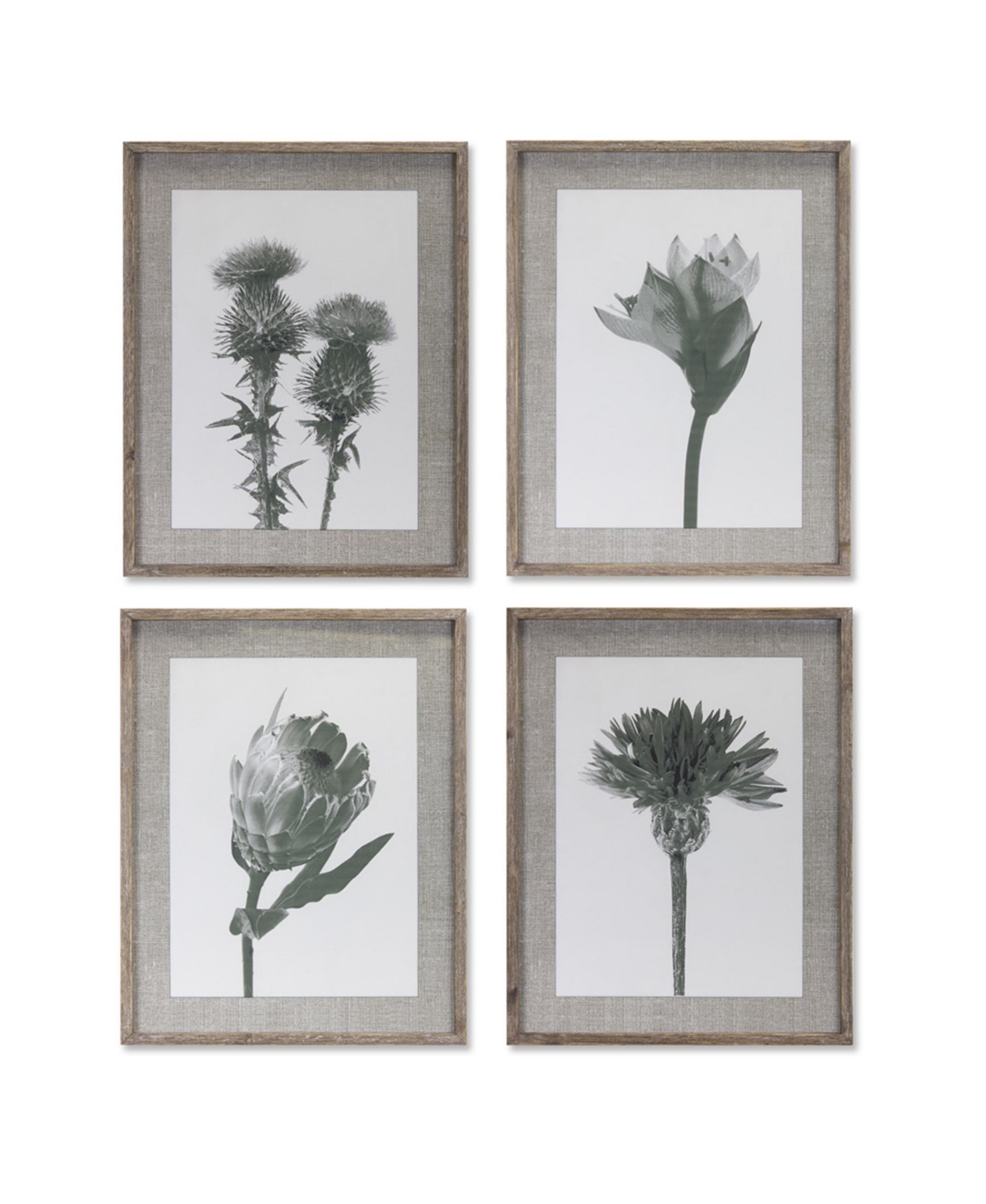 Beautiful Floral Print Assortment - Set of 4 Art Prints for Wall Decor