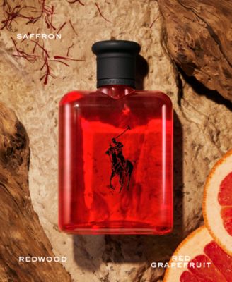 Men's 2-Pc. World of Polo Eau de Toilette Gift Set