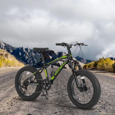 Streamdale Kids' Mountain Bike Adventure-Ready for Ages 8-12