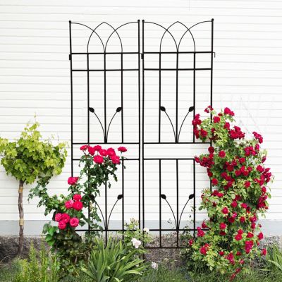 2 Pack 71" Rustproof Metal Trellises for Climbing Plants