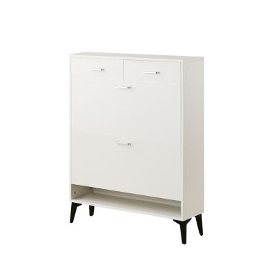 Modern Tipping Bucket Shoe Cabinet with Ample Storage