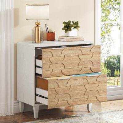 2-Drawer File Cabinet, Lateral Filing Cabinet, Office Storage Cabinet, Printer Stand with Storage Drawer for Home Office
