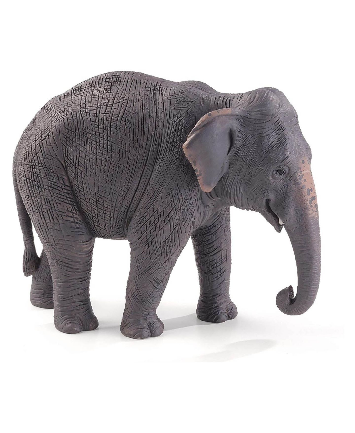 Детские фигурки Mojo Asian Elephant Animal Figure 387266 — фото 1