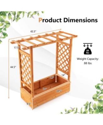 Raised Garden Bed with Trellis or Climbing Plant and Pot Hanging