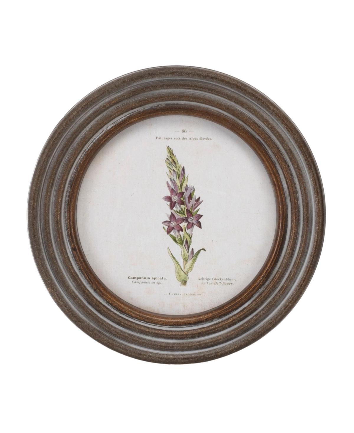 Slickblue Framed Floral Print (Set of 6) 9.5"D Wood/Mdf/Glass