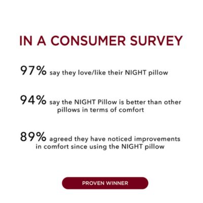 Airlight Foam Pillow Core