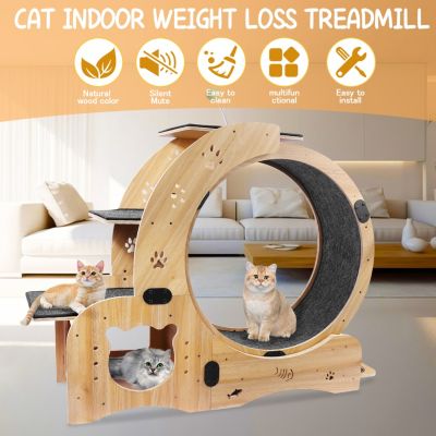6-in-1 Cat Wheel Exercise, House, Shelf, Bowl, Treadmill