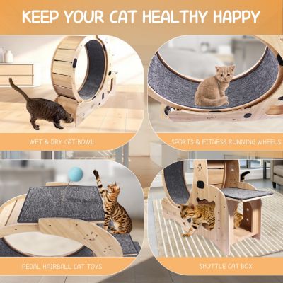 6-in-1 Cat Wheel Exercise, House, Shelf, Bowl, Treadmill