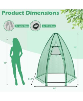 5.5 x 5.5 x 6 Feet Portable Mini Greenhouse with All-Weather PE Cover