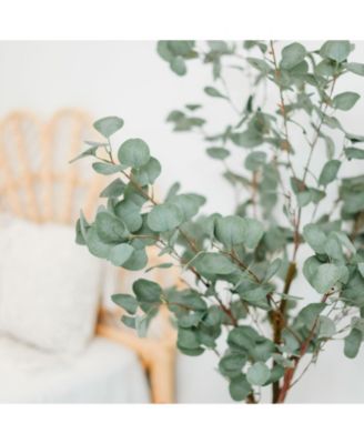 6ft Artificial Eucalyptus with Woven Seagrass Plant Basket