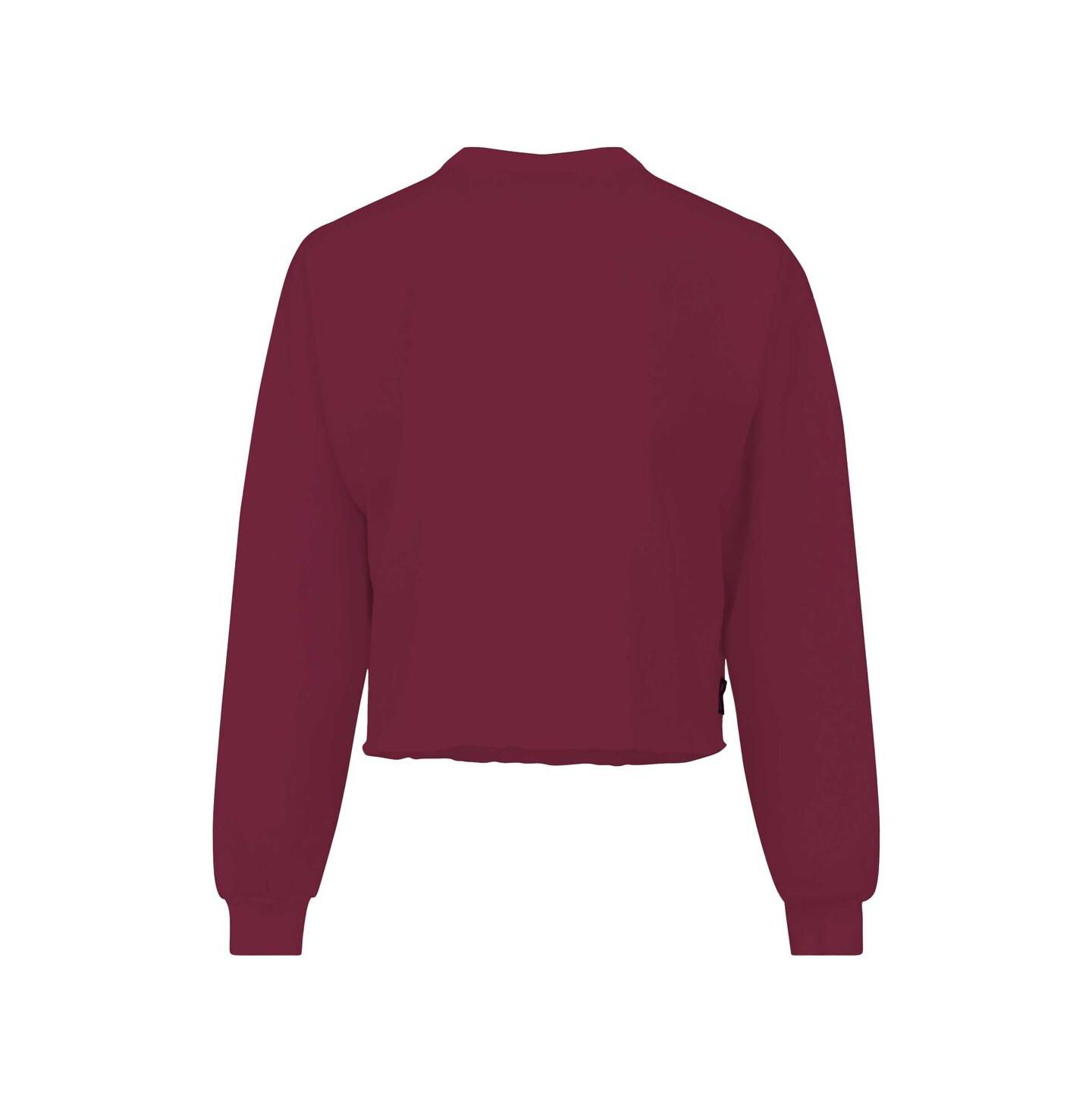 Женская футболка Spirit Jersey Garnet Florida State Seminoles Slouchy Cropped Long Sleeve — фото 2