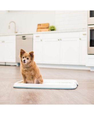  Pad Holder, Fits 17"x24" or Larger, Medium, Puppy Dog Pad Hoder, Secured Latches, Non-Skid Rubber Feet, High Polish Finish for Easy Cleaning, Leak Protection, Dog Potty Tray, Blue