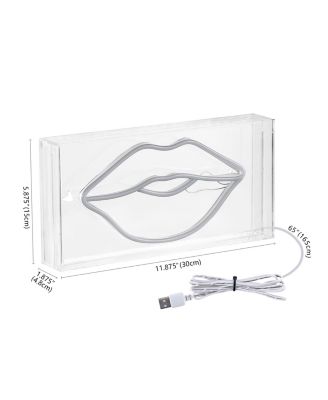 Lips Contemporary Glam Acrylic Box USB Operated LED Neon Light
