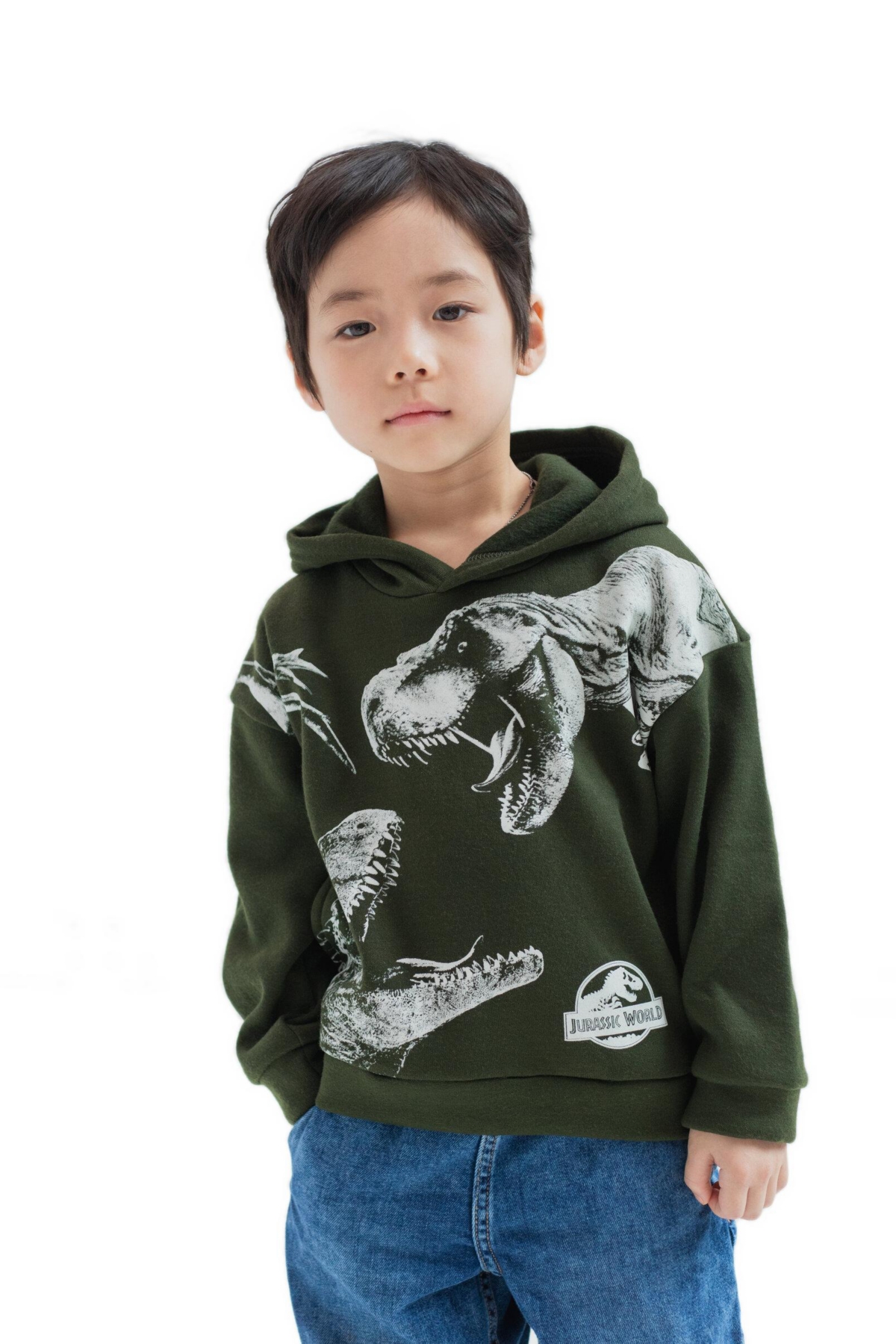 Jurassic Park Boys World Dinosaur T-Rex Fleece Pullover Hoodie