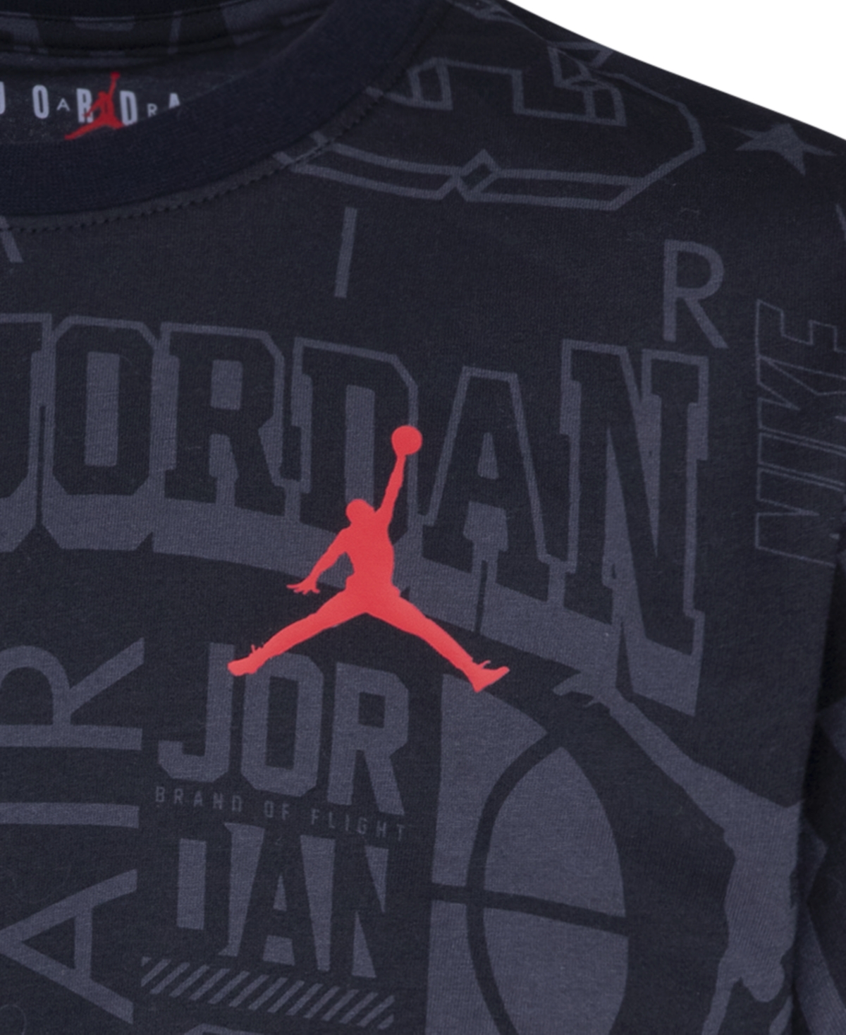 Jordan Big Wall of Flight Short Sleeve T-shirt