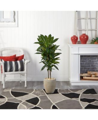 Dracaena Plant in Sand Colored Planter for Elegant Home Decor