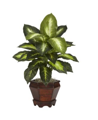Silk Golden Dieffenbachia Plant in Wood Vase for Natural Home Decor (Set of 2)