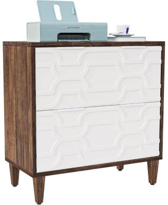 2-Drawer File Cabinet, Lateral Filing Cabinet, Office Storage Cabinet, Printer Stand with Storage Drawer for Home Office