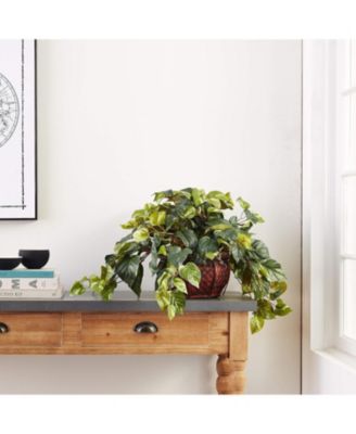Indoor Pothos Plant with Stylish Decorative Planter for Home Decor