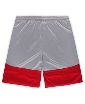 Men's Cardinal Arizona Cardinals Big Tall Team Logo Shorts