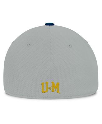 Men's Gray/Navy Michigan Wolverines Mick Flex Hat