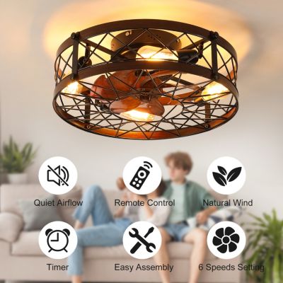 Caged Ceiling Fans with Lights, 20" Flush Mount