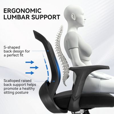 Ergonomic Office Chair Mesh Swivel Task Chair with Lumbar & Back Support