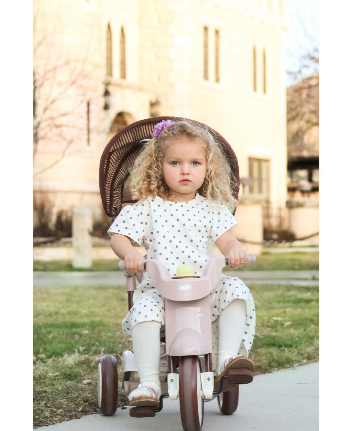 Детская игрушка IIMO Type SS 3-in-1 Folding Tricycle with Push Handle, от 1 года, цвет: Коричневый — фото 8