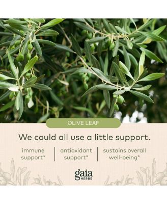 Olive Leaf - Traditional Immune Health Support - Immune System Supplement with Olive Leaf Extract and Oleuropein - 120 Liquid Phyto-Caps