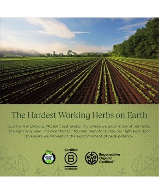 Calm A.S.A.P. Stress Support Supplement - With Skullcap, Passionflower, Chamomile, Vervain, Holy Basil & More to Support a Natural Calm - 60 Liquid Phyto-Capsules (20-Day Supply)