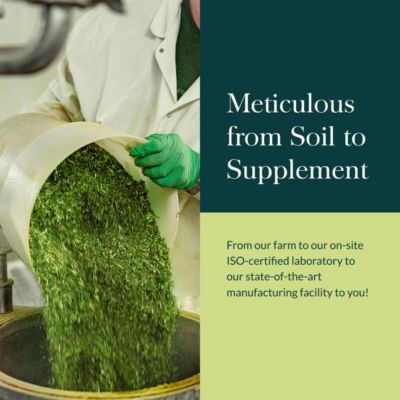 Black Cohosh - Menopause Support Supplement to Support Hormone Balance & Health for Women - 60 Vegan Liquid Phyto-Caps (60 Servings)