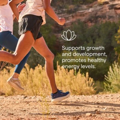 Liquid Ionic Iron Dietary Supplement|1.9 Ounce 22 mg per Serving (2 Pack