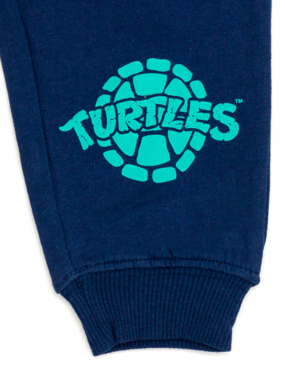 Teenage Mutant Ninja Turtles Henley T-Shirt and French Terry Pants Outfit Set Toddler to Big Kid Sizes (2T - 14-16)