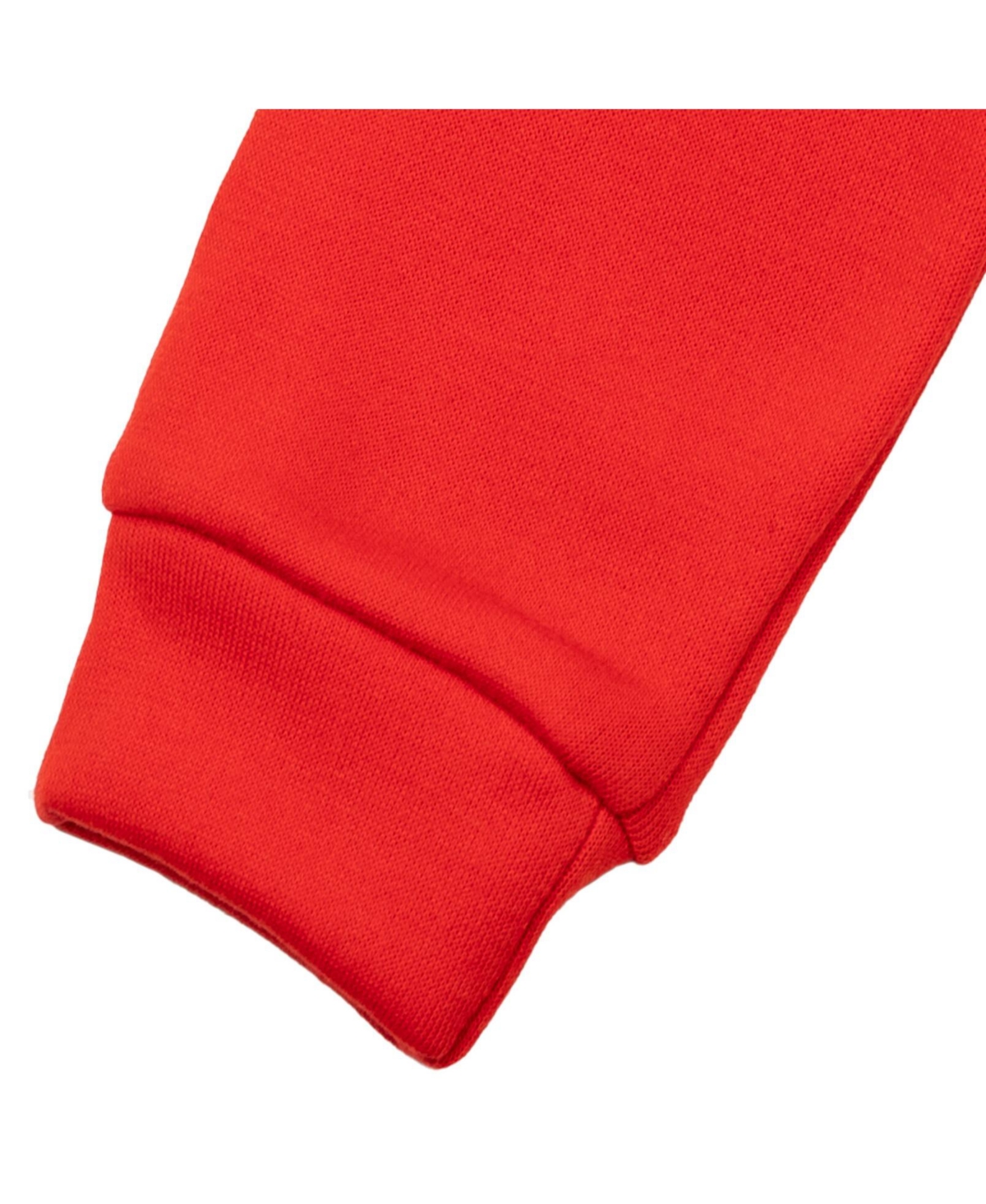 Blaze and the Monster Machines Toddler Boys Zeg Stripes Pickle Fleece Pullover Hoodie and Jogger Pants Outfit Set to -black