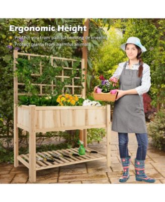 Raised Garden Bed Elevated Wooden Planter Box with Trellis