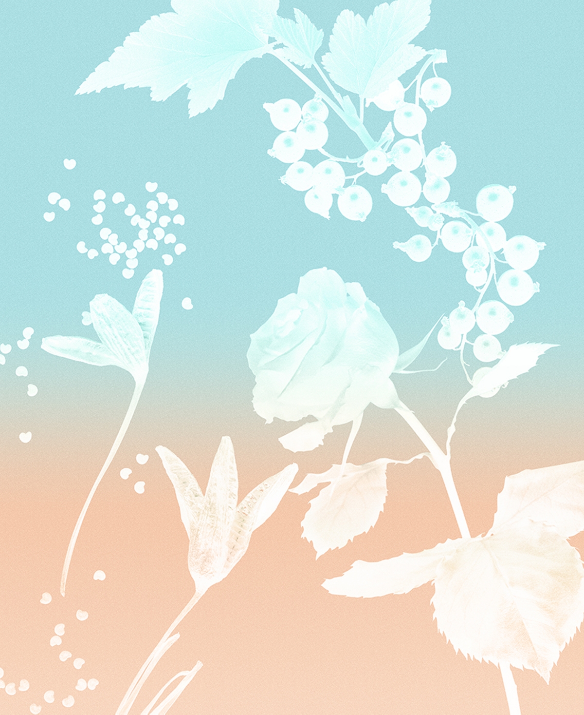 Tiffany & Co. 3-Pc. Tiffany Rose Gold Eau de Parfum Holiday Gift Set