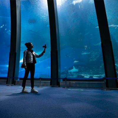 Creator Accessory Kit II with Shooting Grip/Tripod and Vlogger Shotgun Microphone