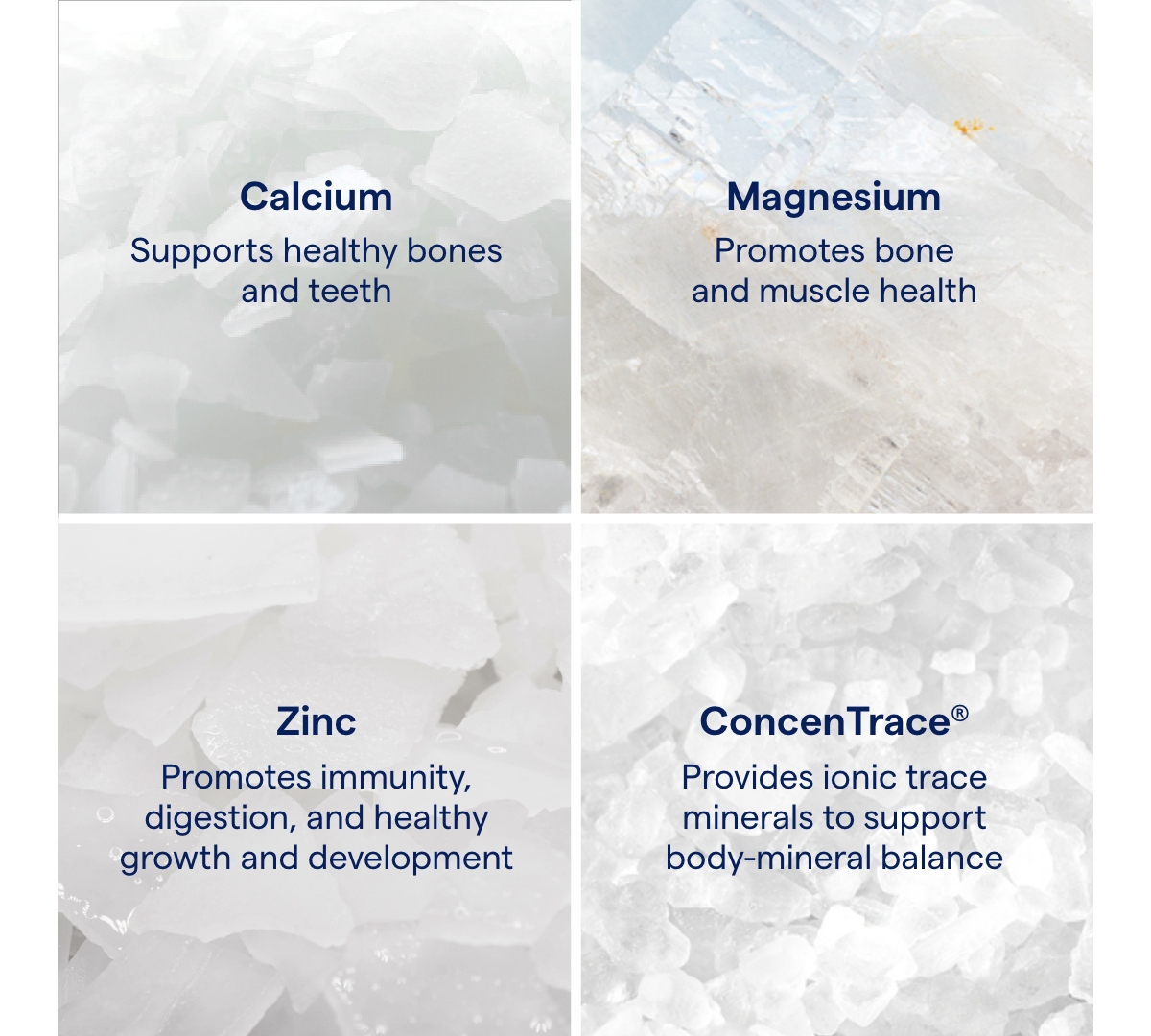 Trace Minerals Liquid Cal/Mag/Zinc | Calcium, Magnesium, Zinc, Vitamin D3 | Dietary Supplement Supports Tissue, Muscle