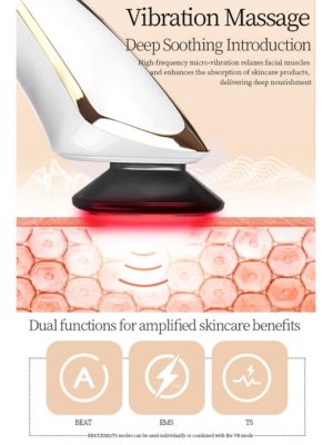 RF 5 In 1 EMS Micro Current LED Light Beauty Device