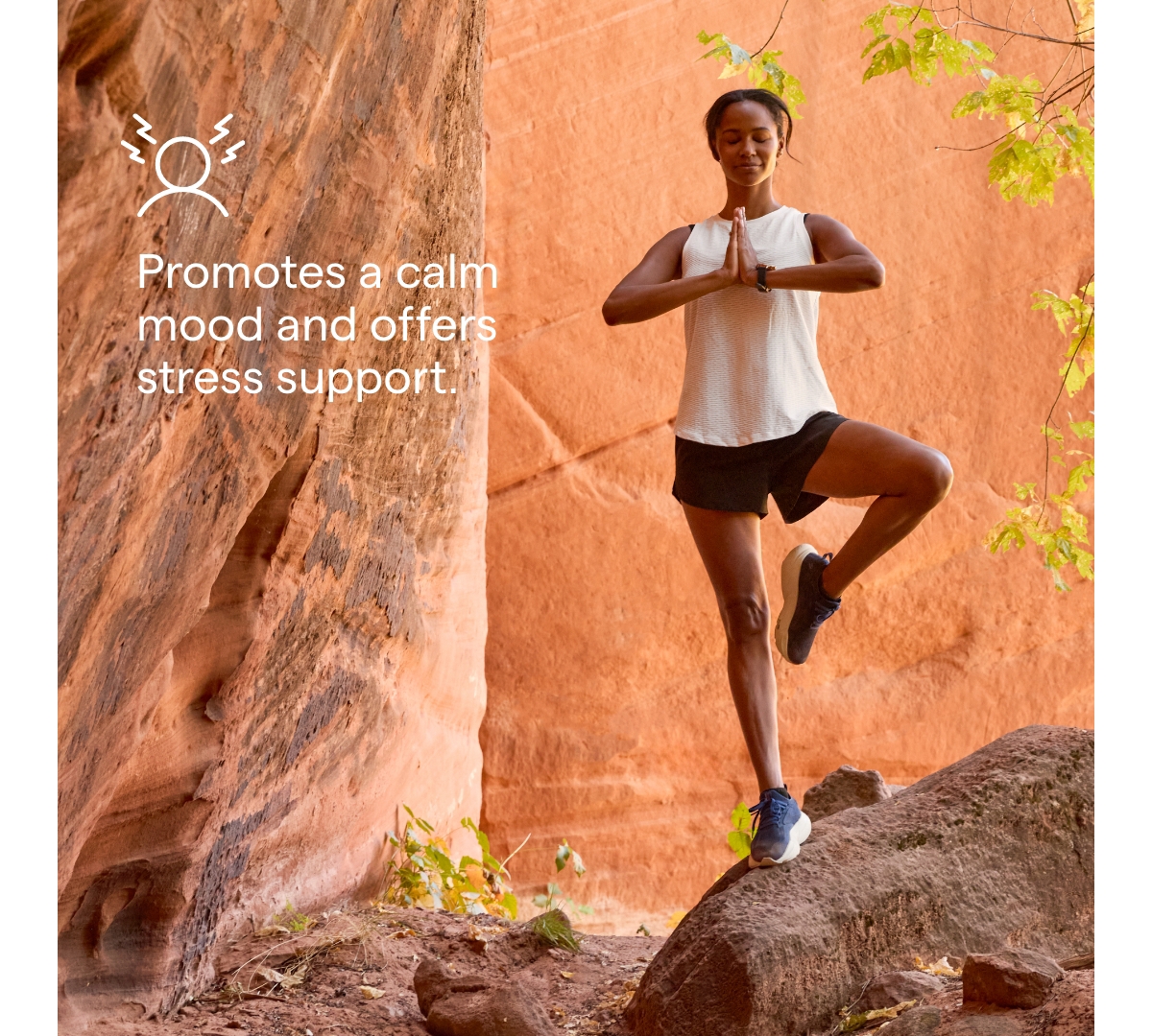 Trace Minerals Ionic Liquid Magnesium 300 mg | Supports Normal Body and Muscle Function | 16 fl oz (32 Servings)