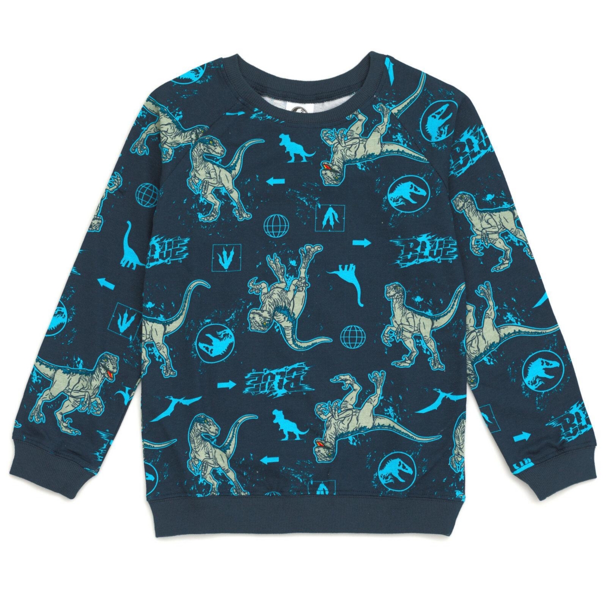 Jurassic World Boys Park Blue French Terry Sweatshirt and Bike Shorts to