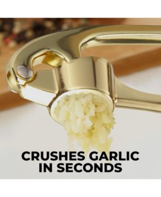 Premium Garlic Press Durable Easy Squeeze Garlic Mincer Tool
