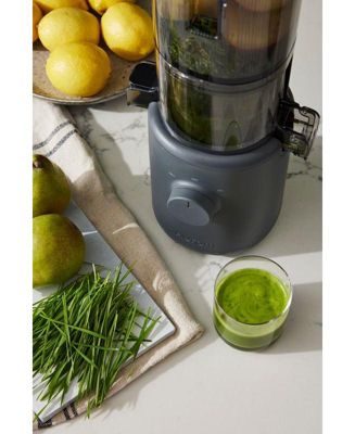 H310 Personal Easy Clean Slow Juicer