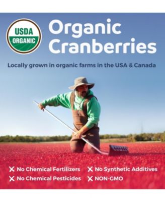 Cranberry Concentrate Capsules, Urinary Tract Support and Kidney Cleanse, 120ct