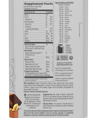 Active Protein, Plant-Based Protein, Chocolate Peanut Butter, 1kg