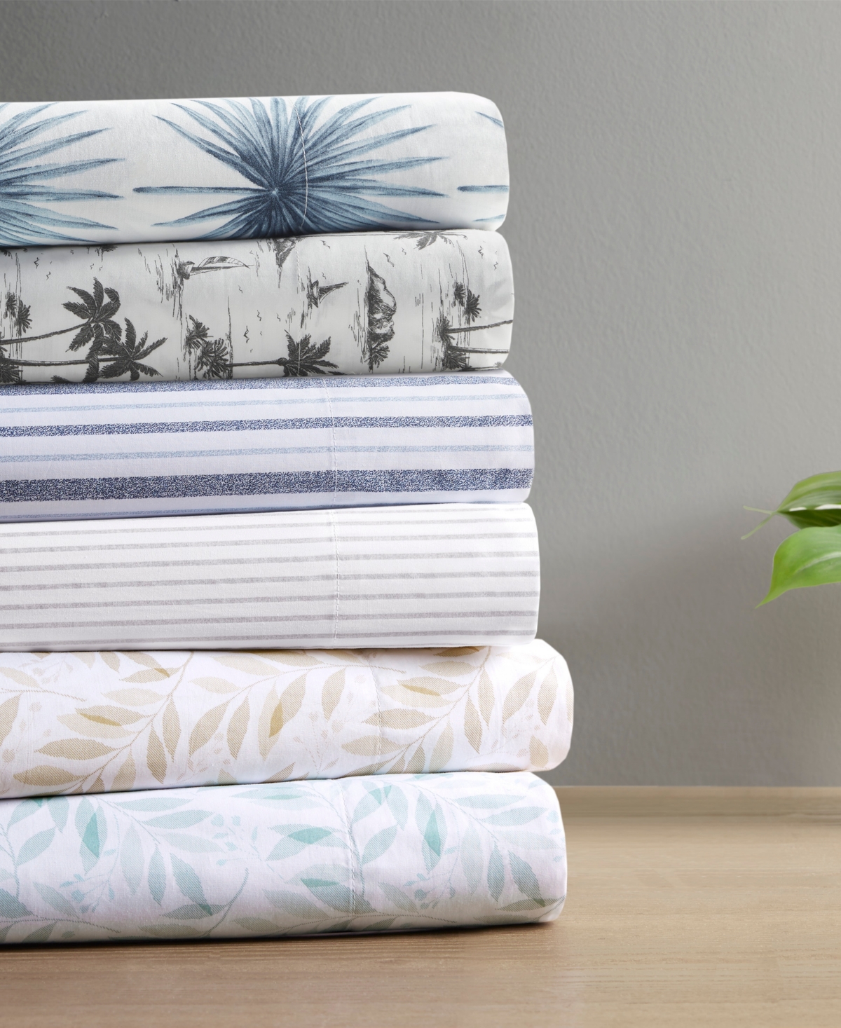 Madison Park Essentials Printed Cotton Percale 4-pc. Sheet Set, King In Black Island